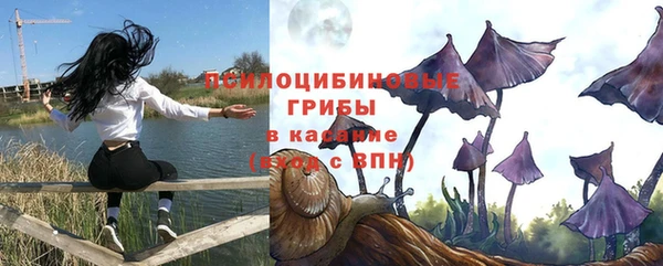 мдма Новозыбков