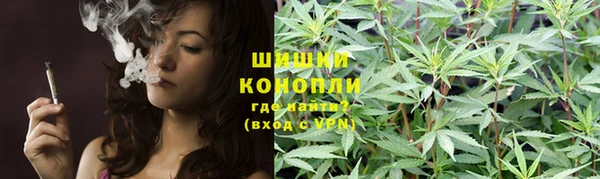 мдма Новозыбков
